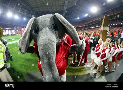 Alabama crimson tide mascot hi-res stock photography and images - Alamy