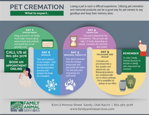 Pet Cremation Process | How Are Pets Cremated Utah