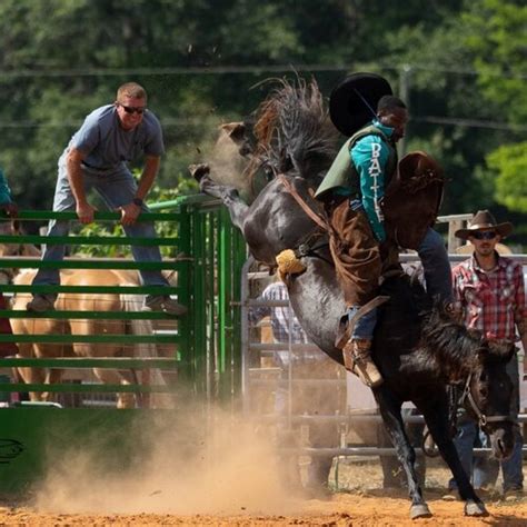 Carolina Box Office | Black Cowboy Festival & Rodeo