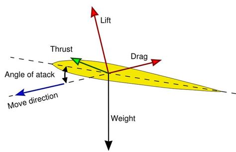 This diagram shows the forces of lift that affect the wing of an ...