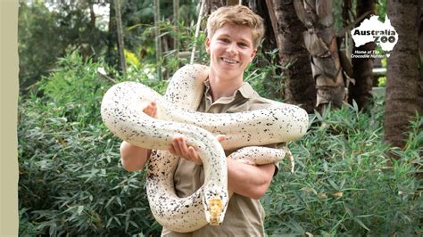 Robert Irwin in the Snake House | Irwin Family Adventures - YouTube