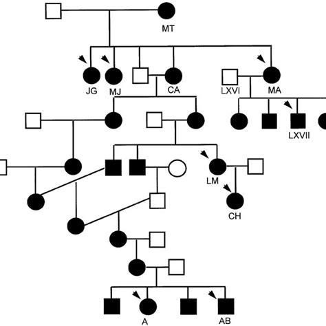 Pedigree of Louis XVI and Marie-Antoinette. The maternal lineage of ...