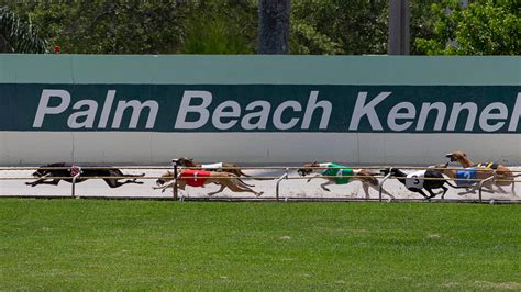 Palm Beach Kennel Club looks ahead to no more greyhound racing