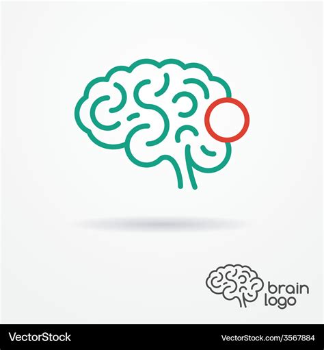 Brain logo Royalty Free Vector Image - VectorStock