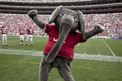 The Oddest Mascots in College Football | Page 21 of 36 | Cleverst | Page 21