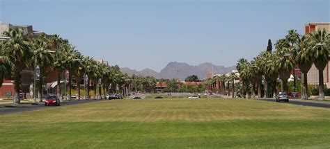 File:University of Arizona mall.jpg - Wikipedia, the free encyclopedia