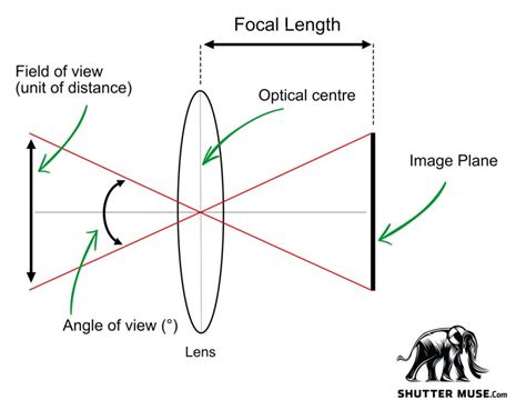 How To Calculate Field of View In Photography