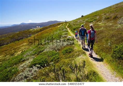 Mount Buller Landscape Walking Trails On Stock Photo 1480151477 ...