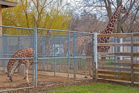 The Zoo in Sioux Falls, South Dakota is a Family Friendly Attraction ...