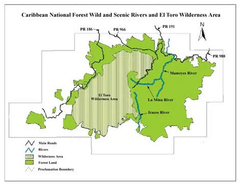 Caribbean National Forest Map - MapSof.net