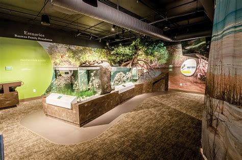 Eco Fun at Florida Oceanographic Center - Stuart Magazine