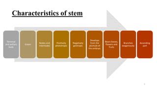 Types of stem by Sarah Ashfaq , Botanist | PPT