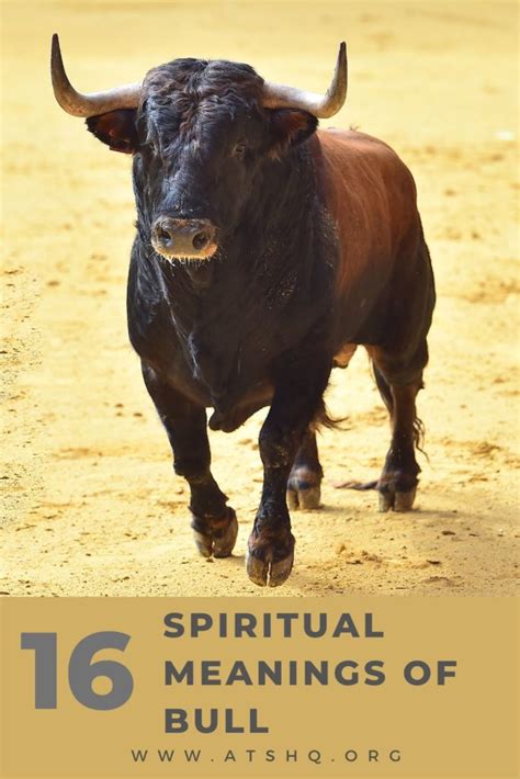 Bull Symbolism: 16 Spiritual Meanings Of Bull