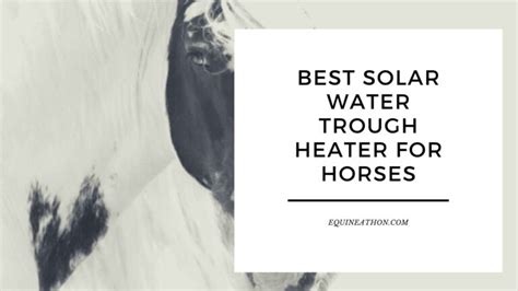 The Best Solar Water Trough Heater for Horses: Harnessing the Power of ...