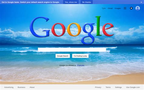 Custom Google background (Was "Your own Google") - FreeStyler.WS