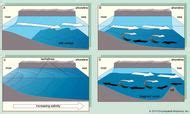 Salt wedge estuary | oceanography | Britannica.com