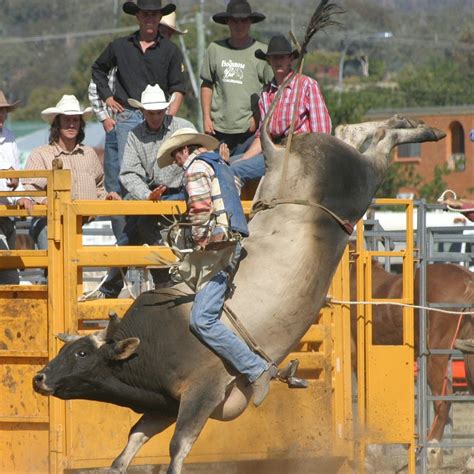 “Keep the Kids Coming”: Famous Rodeo Breeder Reveals Unheard Details on ...