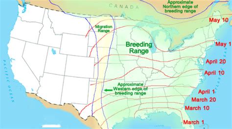 Hummingbird Fall Migration Map 2023 – Nature Blog Network