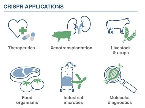 Adding Capabilities to CRISPR-Cas-Based Biotechnology | NEB