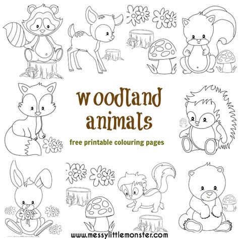 Woodland Baby Animals Coloring Pages Coloring Pages