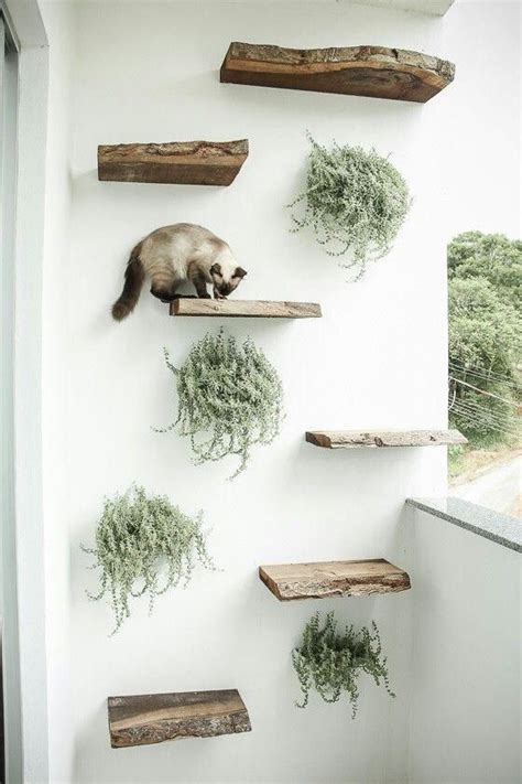 6 climbing walls your cat will love – Artofit