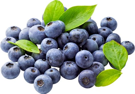 Blueberry PNG Images Transparent Free Download | PNGMart.com