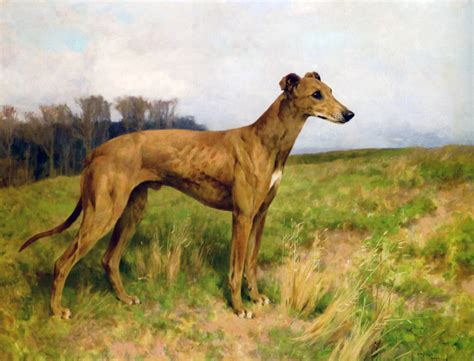 Victorian British Painting: Dog Paintings