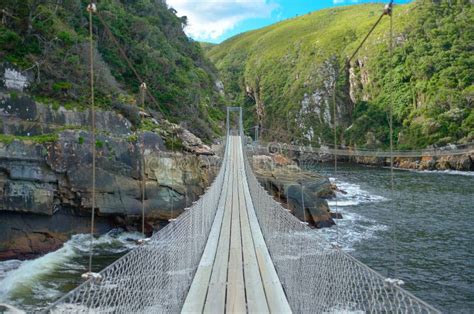 Suspension Bridge (Tsitsikamma National Park) Stock Image - Image of ...