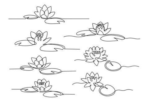 Water Lily Drawing Images – Browse 102,960 Stock Photos, Vectors, and ...