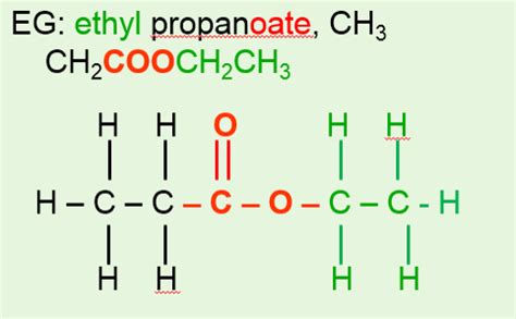 Ester Functional Group Examples