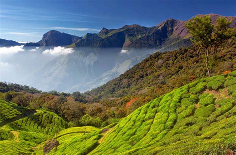 God's Own Country: MUNNAR