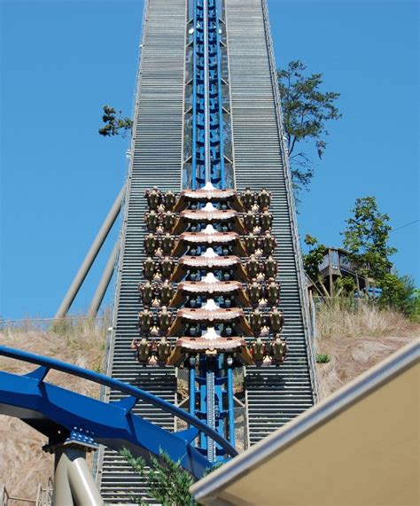 Dollywood Wild Eagle - My Pigeon Forge