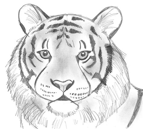 21+ Traceable Pictures Of Animals - Free Coloring Pages