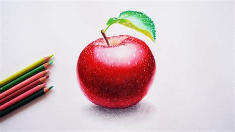 Sketch Realistic Apple Drawing