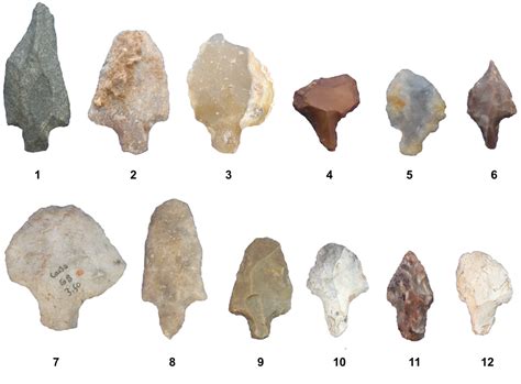 Homo Habilis Used Which Type of Stone Tools