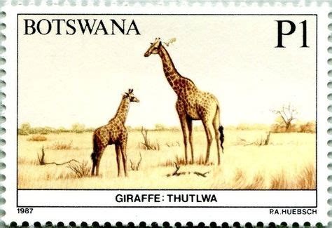 57 Botswana Stamps ideas in 2021 | botswana, postage stamps, stamp