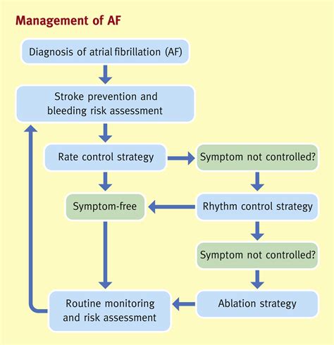 Atrial Fibrillation First Line Treatment - ScienceHUB