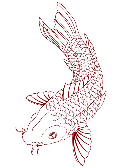 Simple Koi Drawing at GetDrawings | Free download