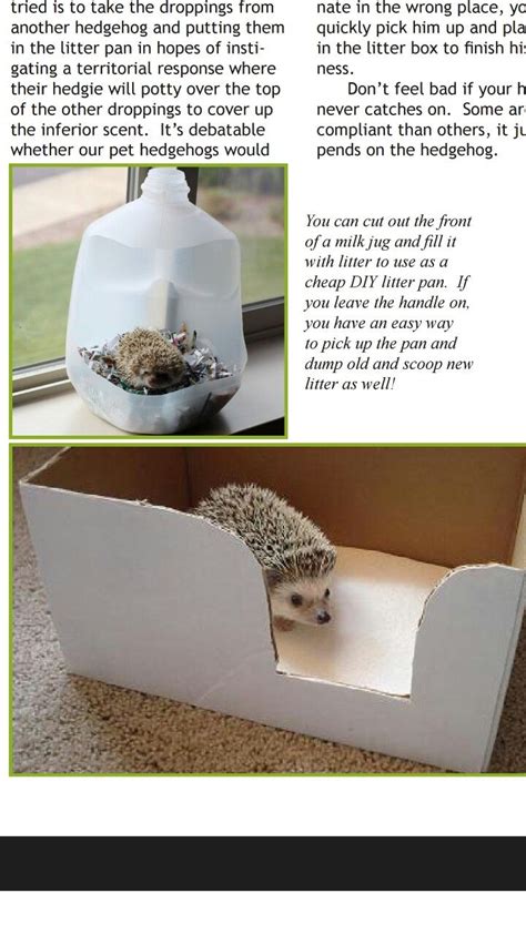 Diy litter pan | Hedgehog pet, Baby hedgehog, Hedgehog cage