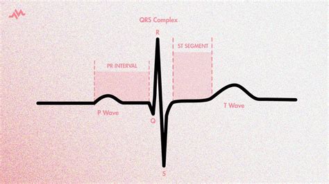 The Cardiac Cycle on an EKG (P-QRS-T Waves) - YouTube