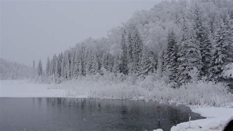 Wilderness Survival & Outdoors: Alaskan Winter