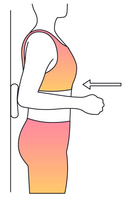 Physera - Shoulder Extension Isometric