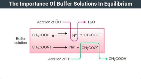 Buffer Solutions In Equilibrium | Types Of Buffer Solution | Chemistry