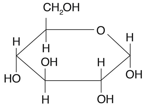 BIOMOLECULES Jeopardy Template