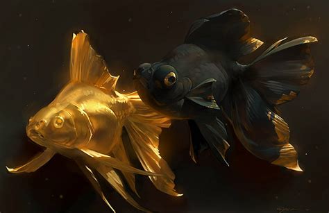 HD wallpaper: two black and gold fish wallpaper, art, goldfish, a ...