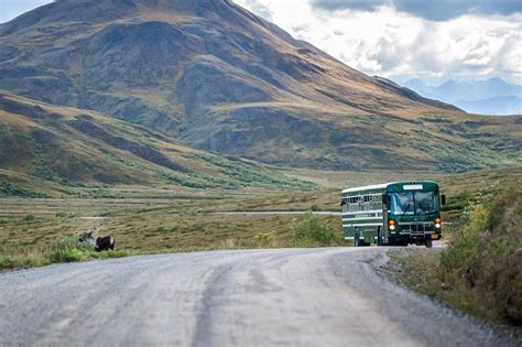 Best Hikes in Denali National Park: All 20 Trails Ranked