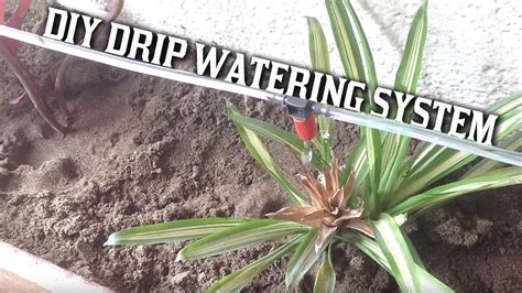 DIY Drip watering system - YouTube