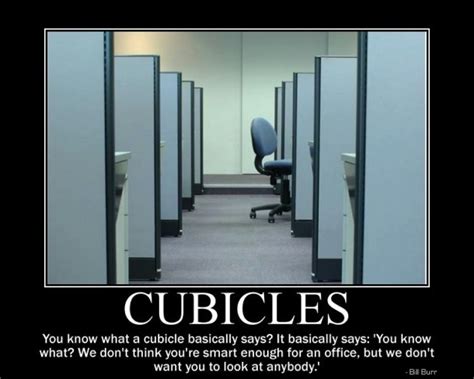 Cubicles - Meme Guy