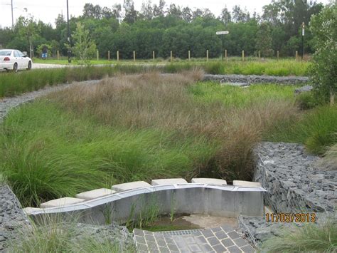 Bioretention basins, raingarden and swales - planting - Blacktown City