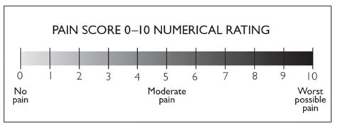 Numerical scale : Pointerpro